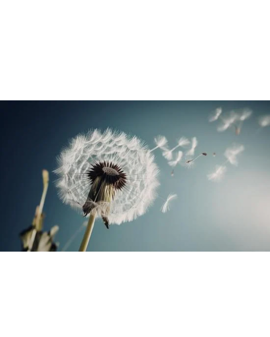 Stress et anxiété - Les racines de Virginie - EFT