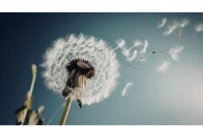 EFT, stress et anxiété : retrouver un apaisement intérieur durable